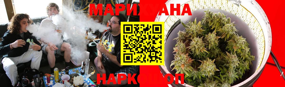 Бошки марихуана OG Kush Прокопьевск